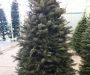 Portsmouth RI 2019 Christmas Tree Pickup